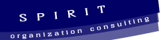 Organization Consulting