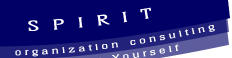 Organization Consulting