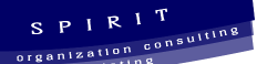 Organization Consulting